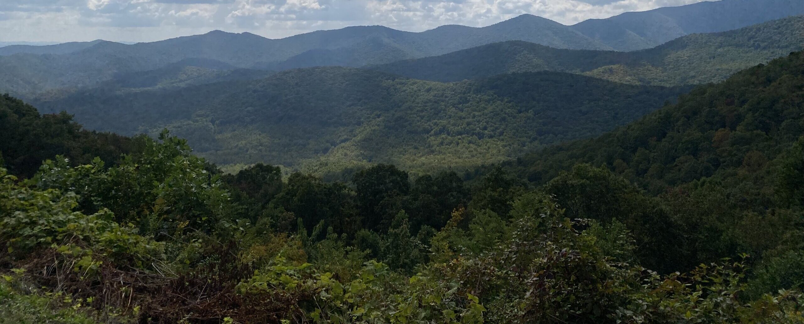 Capital Cares: Western NC Hurricane Helene Relief